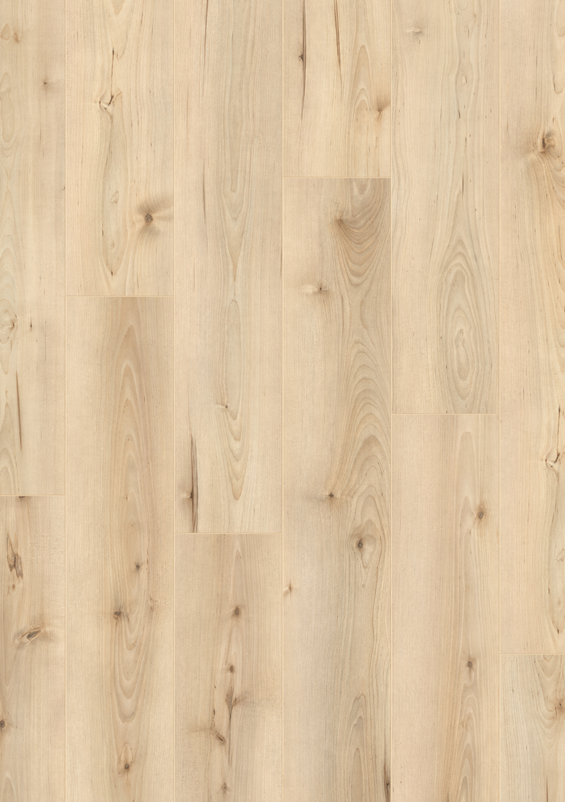 Rose Basic - Afbeelding 5