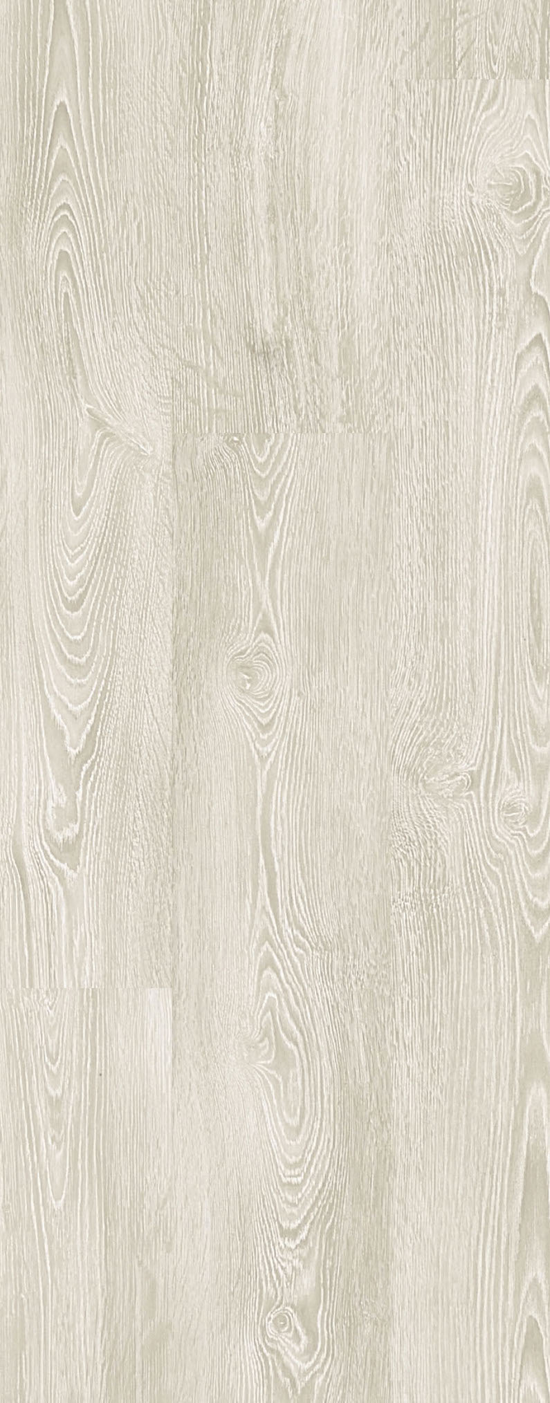 Rose Basic - Afbeelding 6