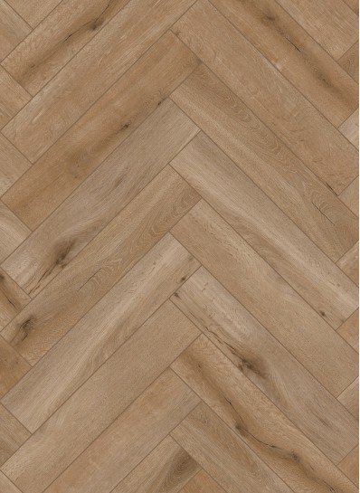 Gelasta Callisto Visgraat - Afbeelding 4