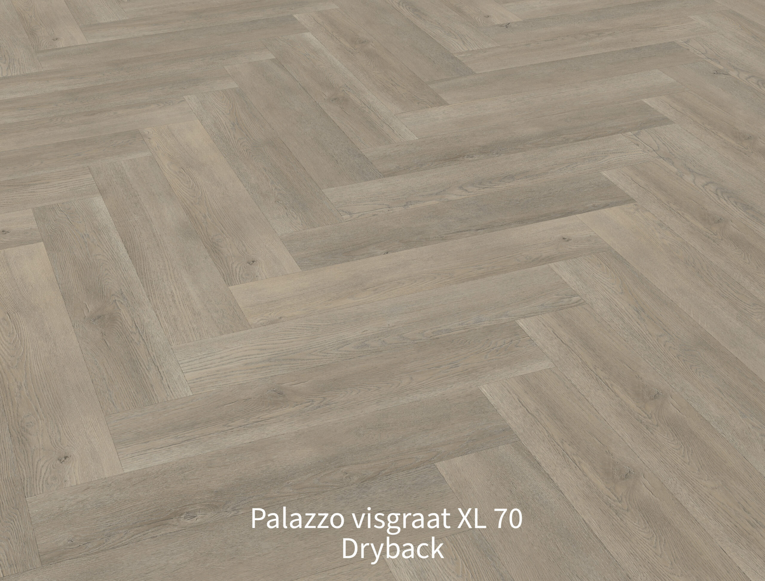 Palazzo visgraat XL 70