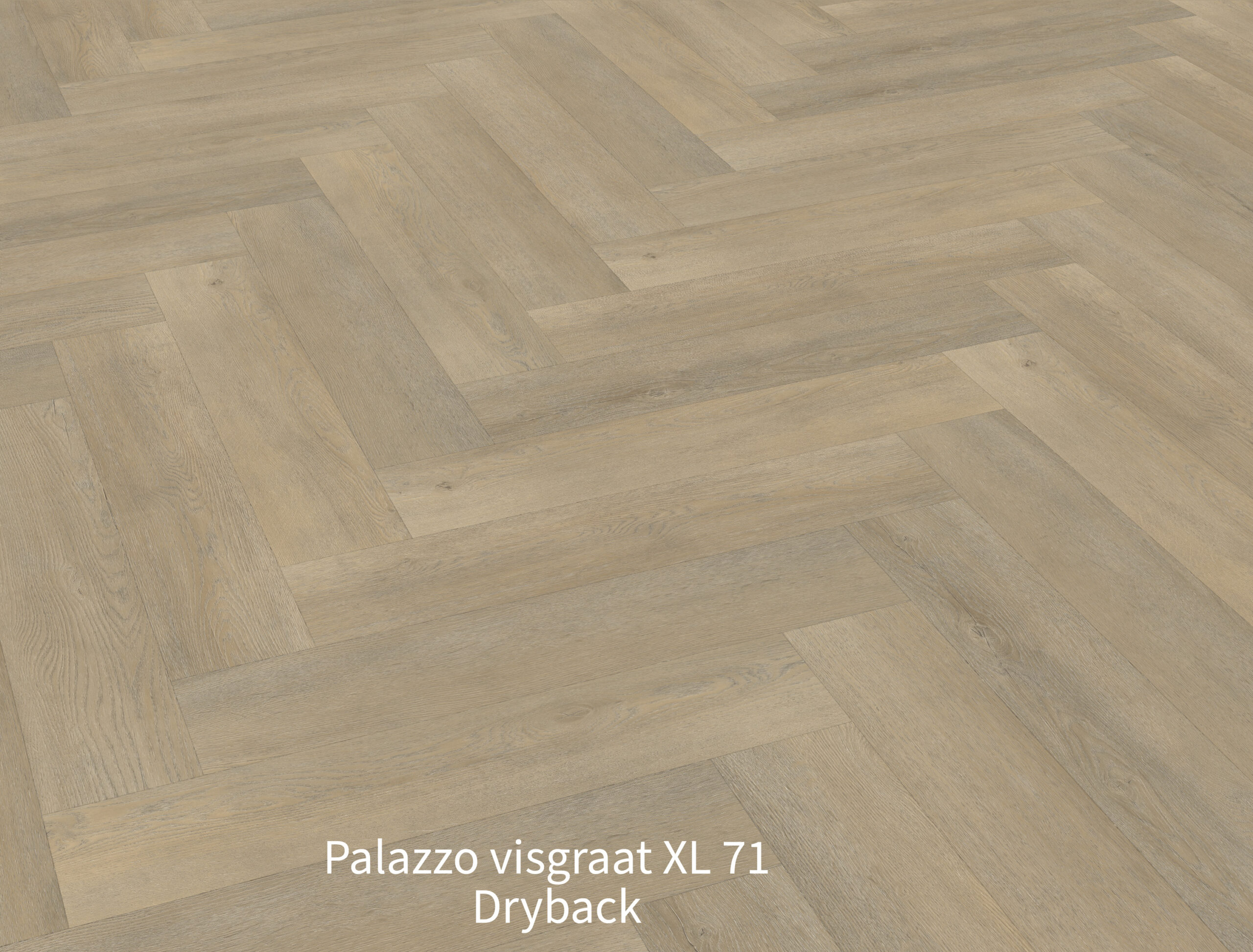 Palazzo visgraat XL 71