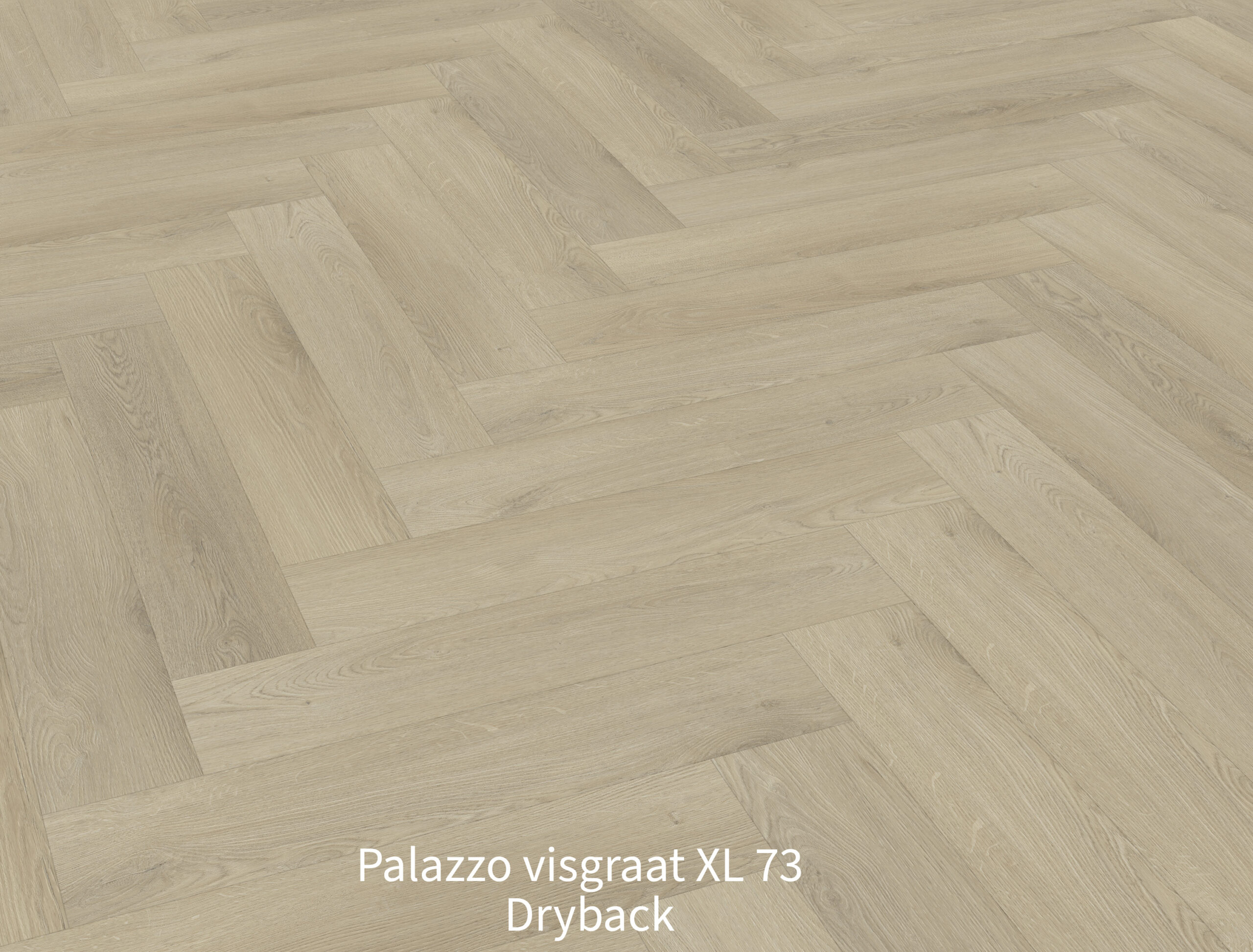 Palazzo-visgraat-XL-73