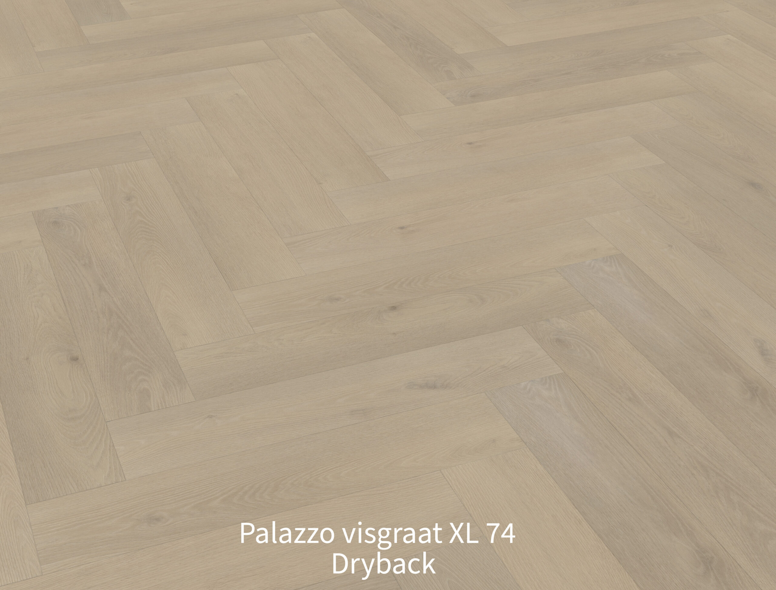 Palazzo-visgraat-XL-74