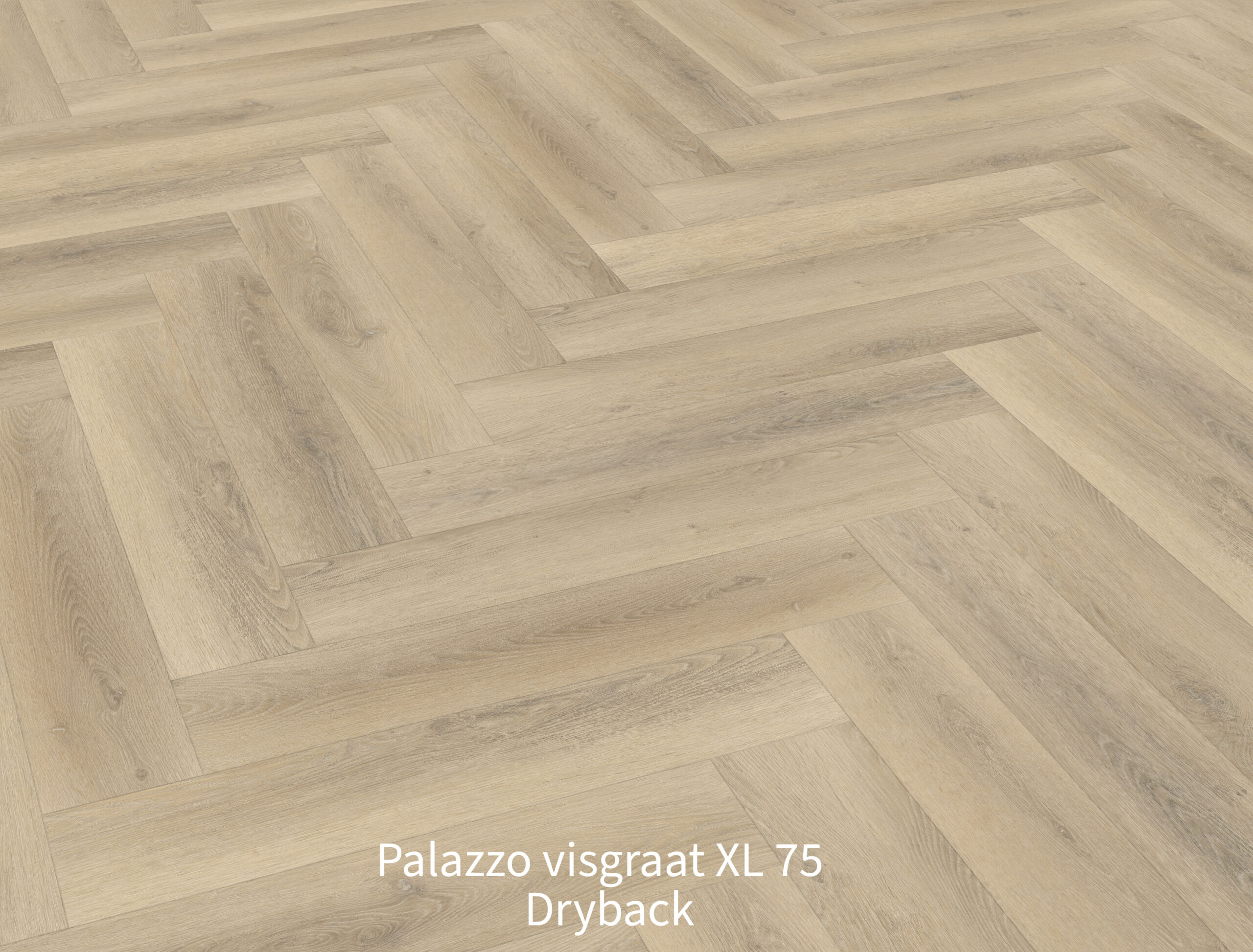 Palazzo visgraat XL 75