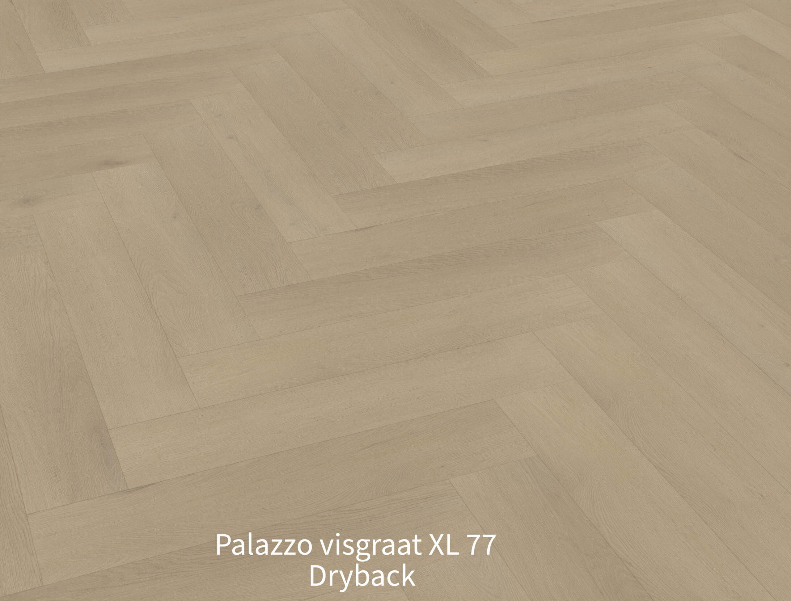 Palazzo visgraat XL 77