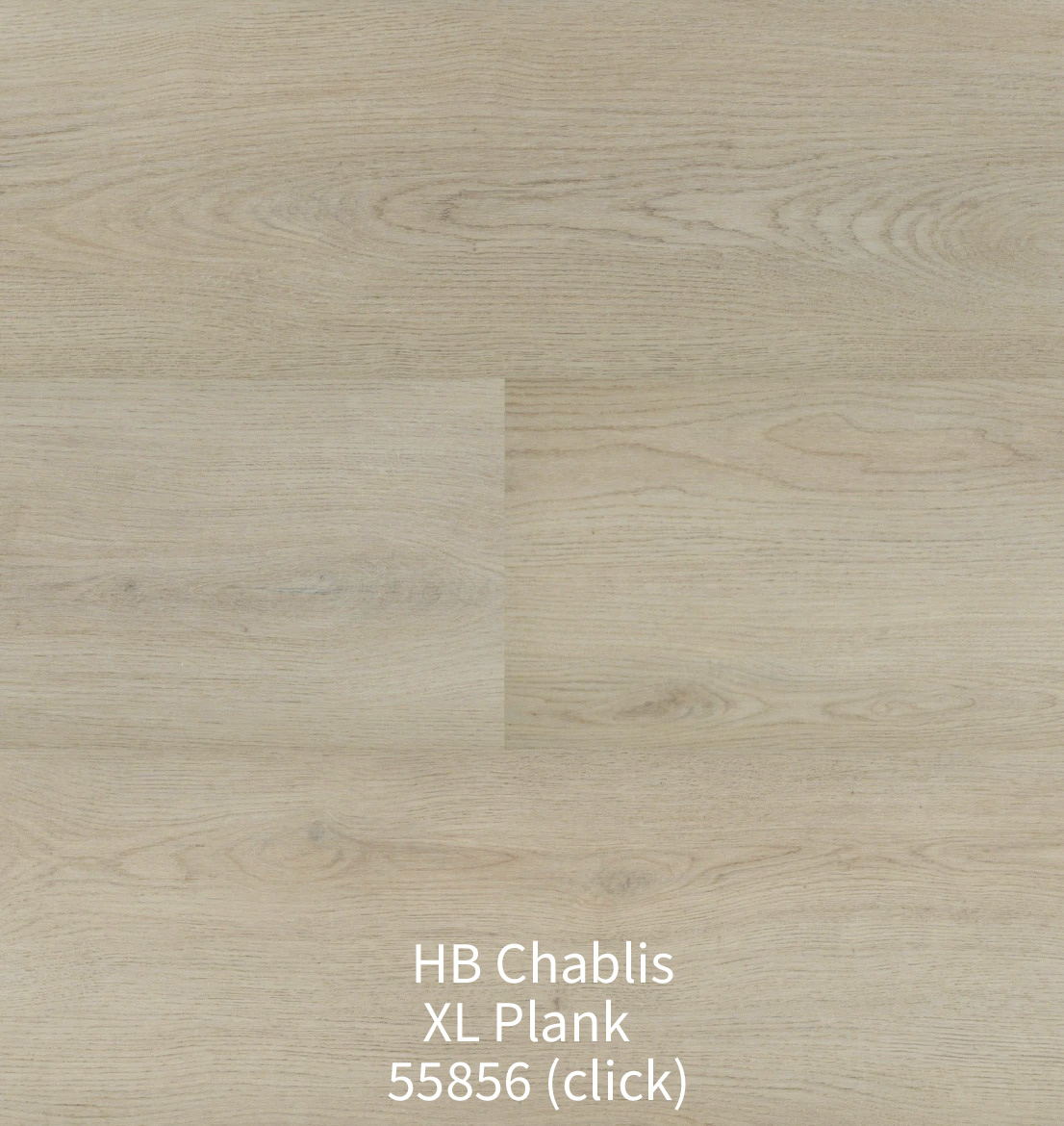 Bovenaanzicht van de Hebeta HB Chablis XL Plank 55856 click vloer. De afbeelding toont brede planken in een egale, naturel beige eiken houtlook zonder noesten, verbonden via een strakke klikverbinding.
