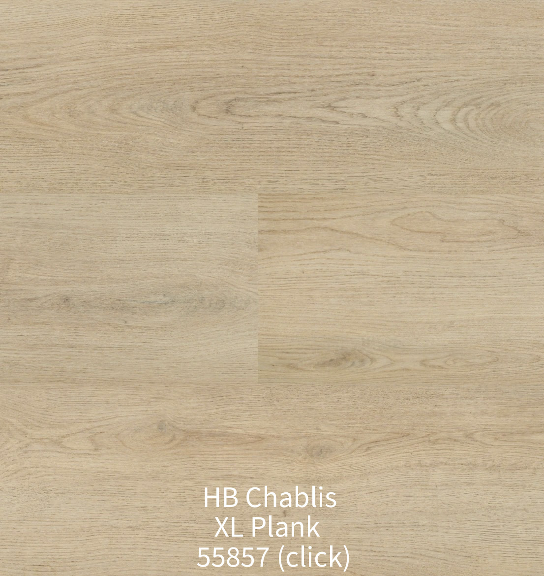 Bovenaanzicht van de Hebeta HB Chablis XL Plank 55857 click vloer. De afbeelding toont brede planken in een verfijnde, lichtbeige eiken houtlook zonder noesten, met subtiele kleurnuances en een strakke klikverbinding.