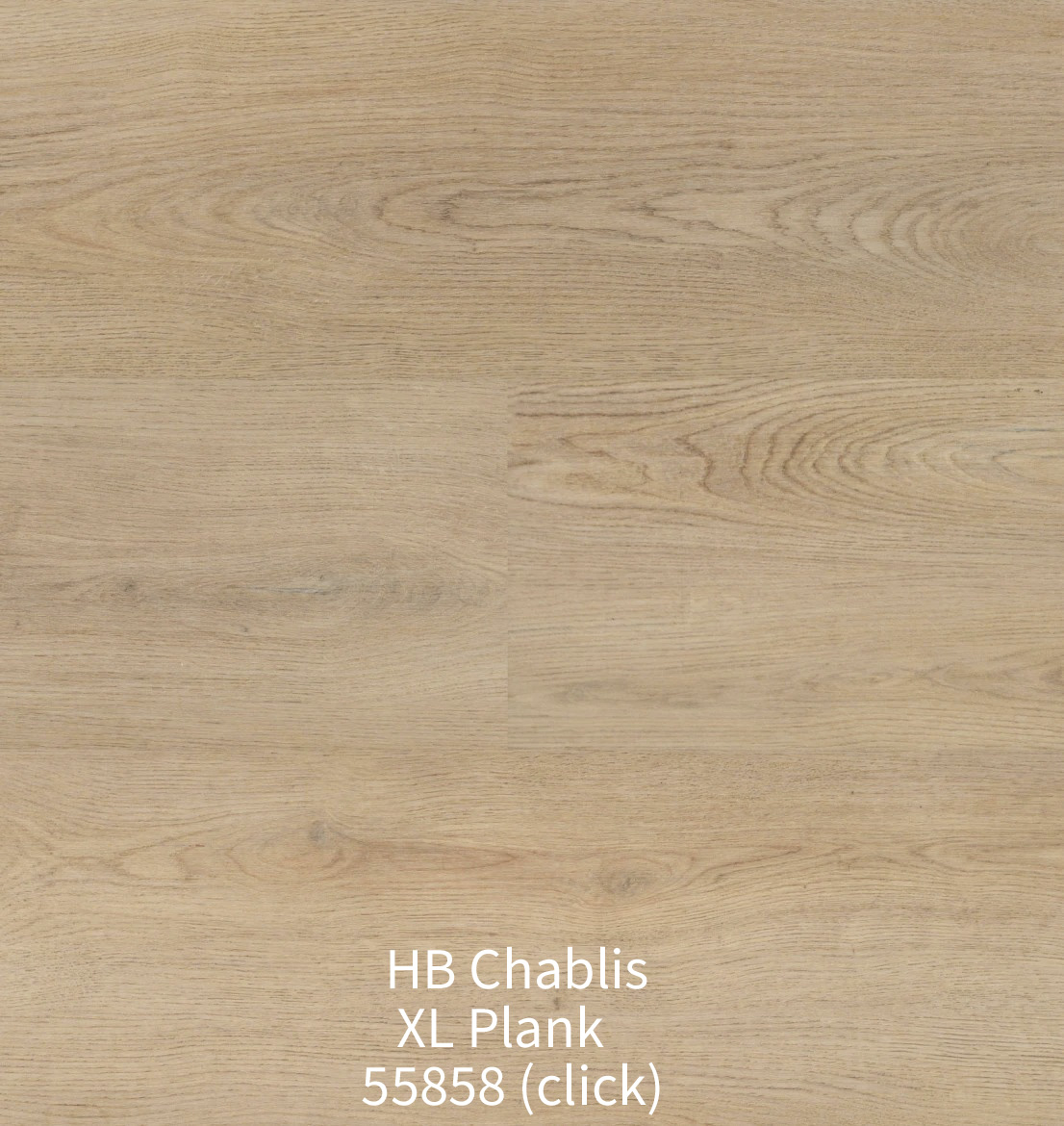 Bovenaanzicht van de Hebeta HB Chablis XL Plank 55858 click vloer. De afbeelding toont brede planken in een warmbeige eikenkleur met realistische, golvende houtnerven en een strakke klikverbinding.