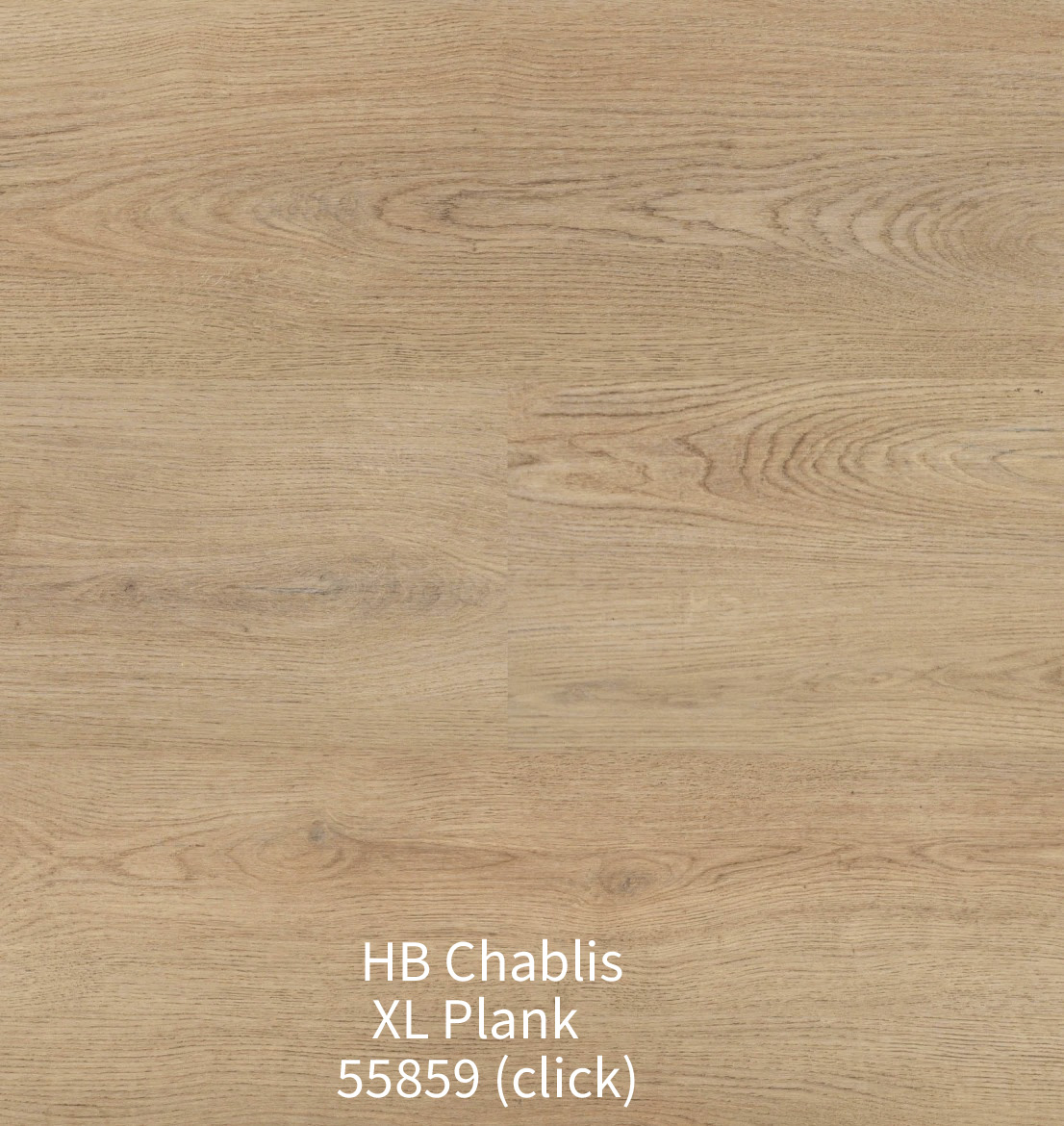 Bovenaanzicht van de Hebeta HB Chablis XL Plank 55857 click vloer. De afbeelding toont brede planken in een verfijnde, lichtbeige eiken houtlook zonder noesten, met subtiele kleurnuances en een strakke klikverbinding.