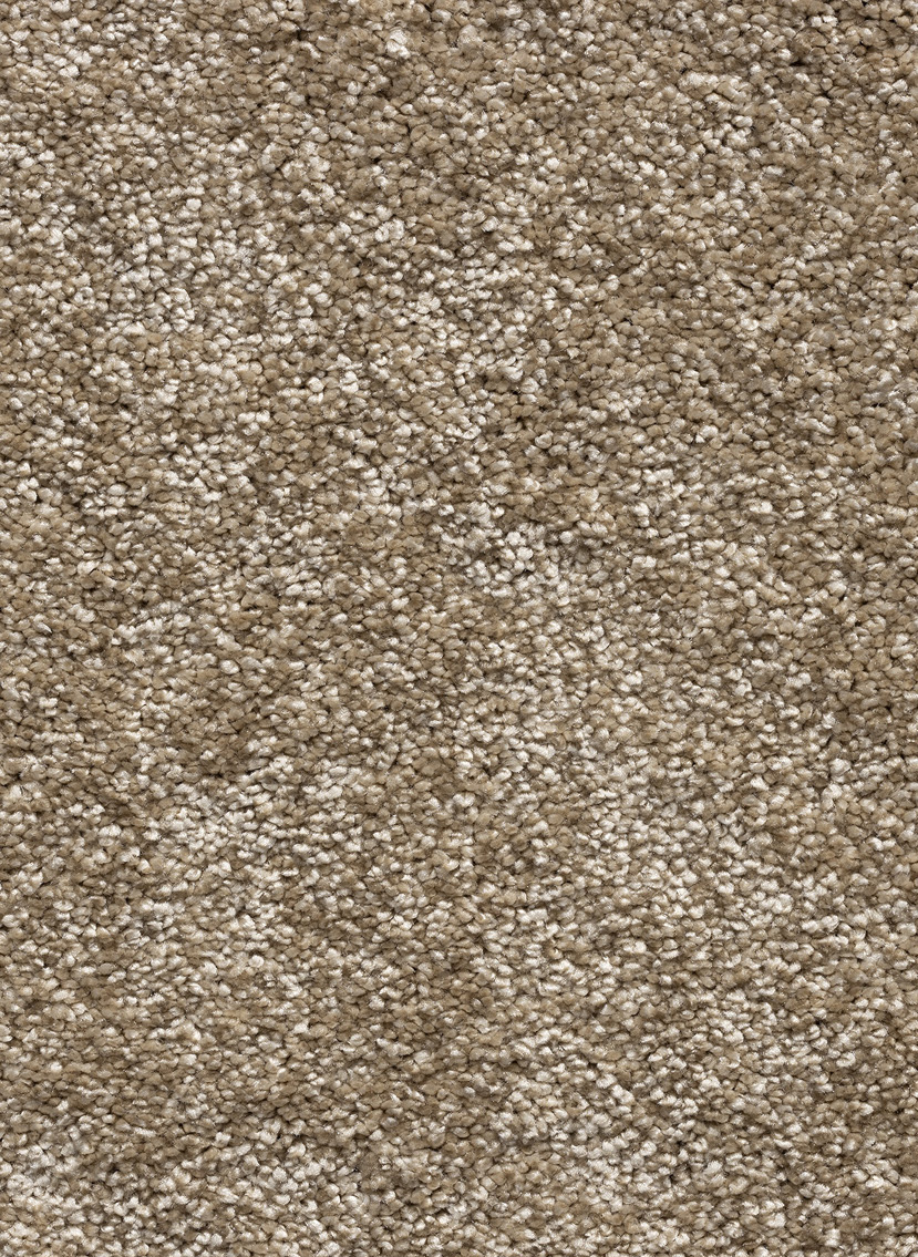 Close-up van een gemêleerd tapijt met een matte afwerking. De afbeelding toont een gedetailleerde weergave van de dichte, zachte poolstructuur waarin beige, lichtbruine en witte garen subtiel met elkaar zijn verweven tot een natuurlijke, warme structuur.