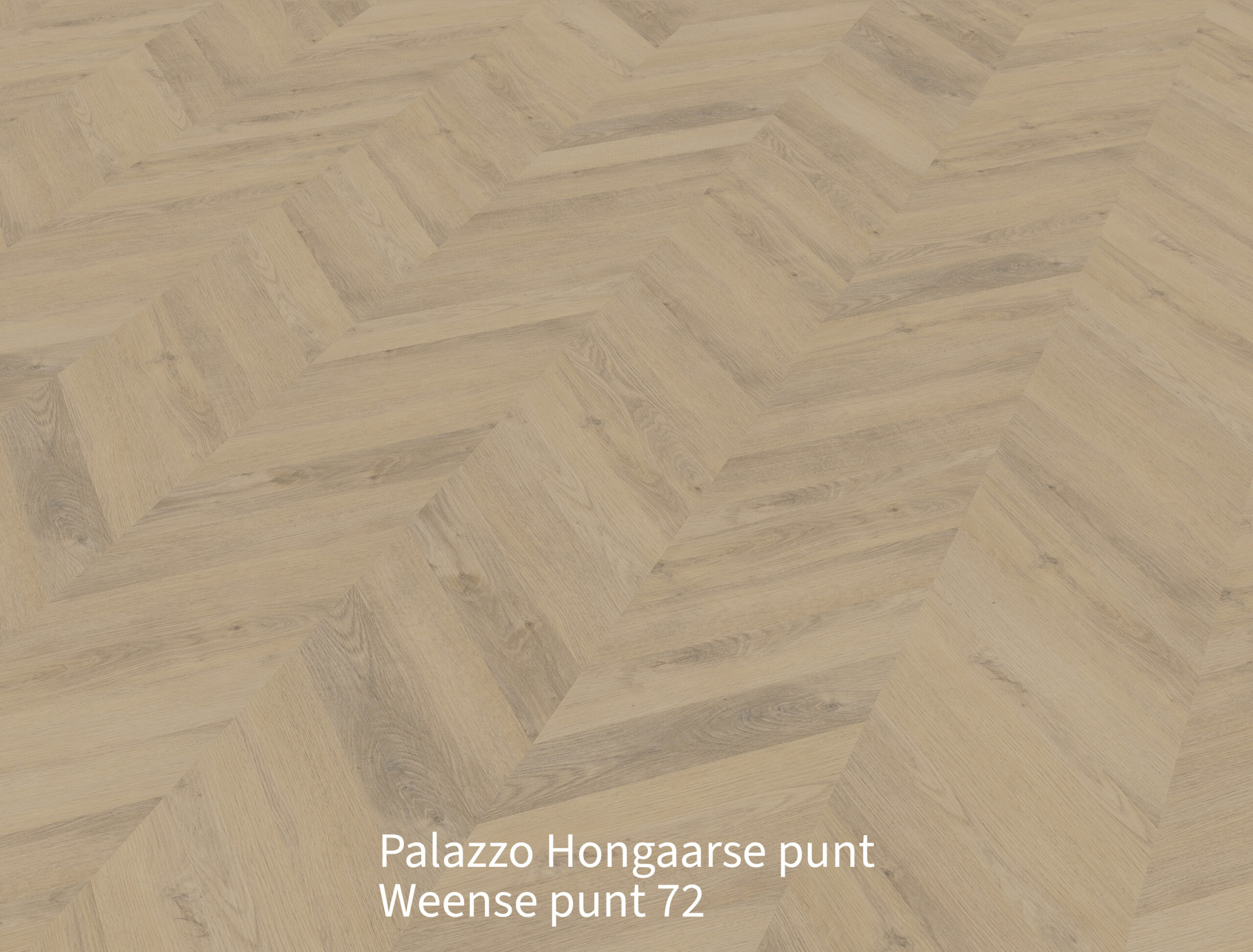 Palazzo Hongaarse punt Weense punt 72