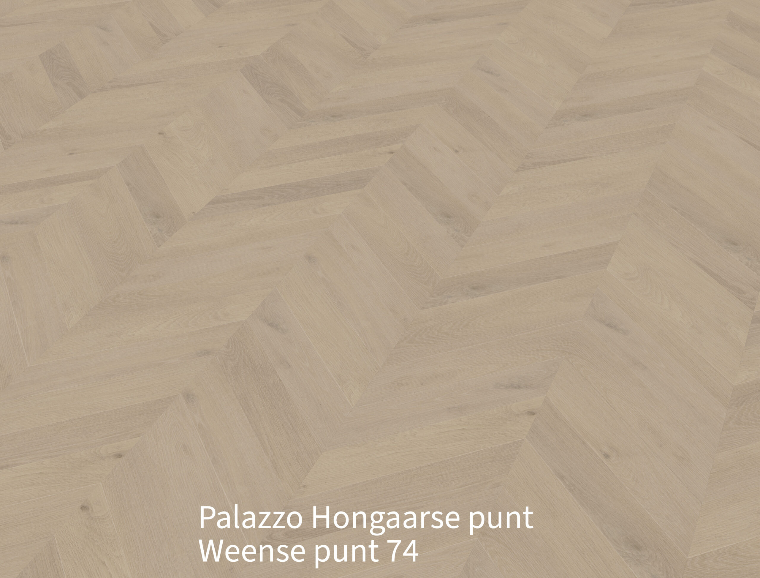 Palazzo Hongaarse punt Weense punt 74