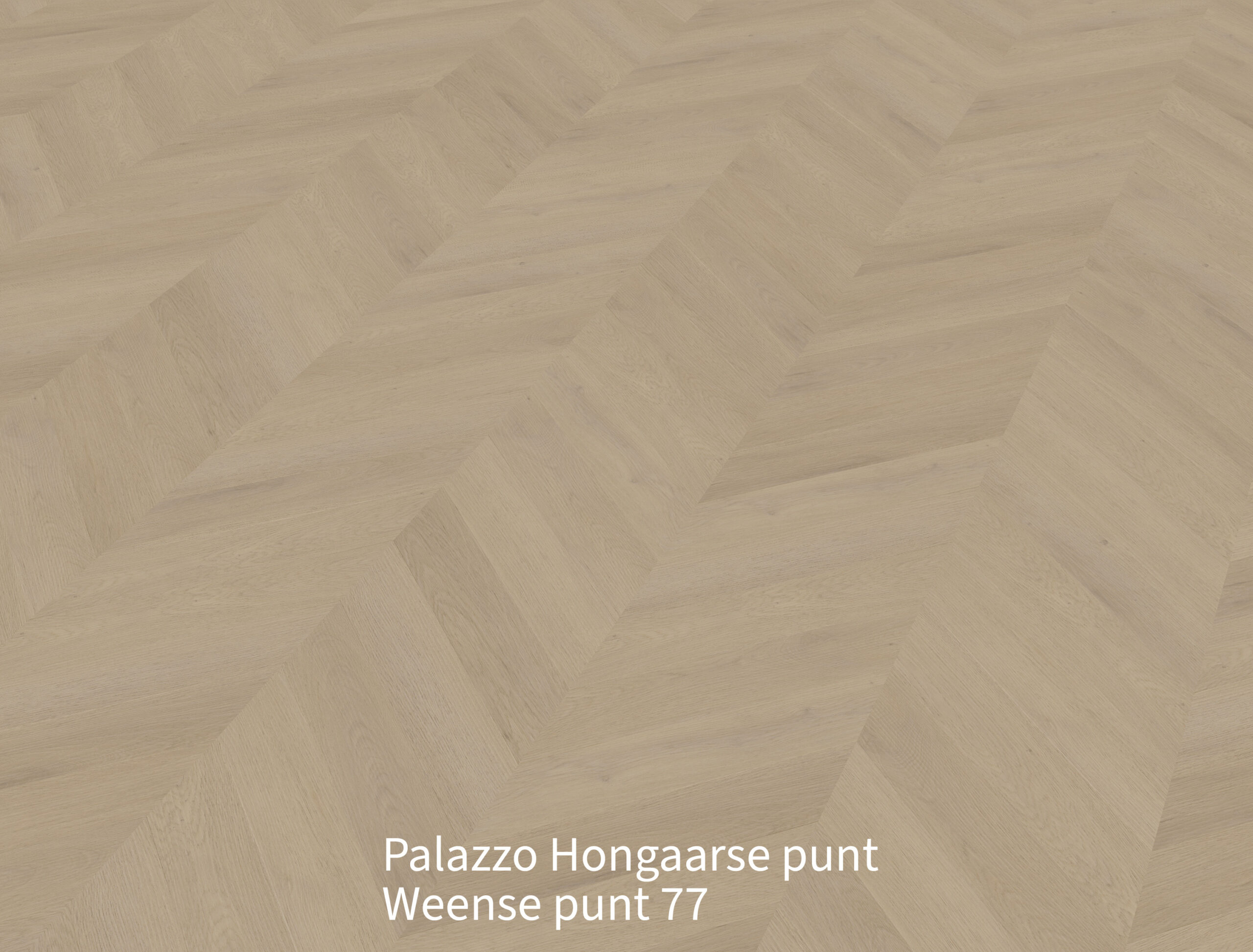 Palazzo Hongaarse punt Weense punt 77