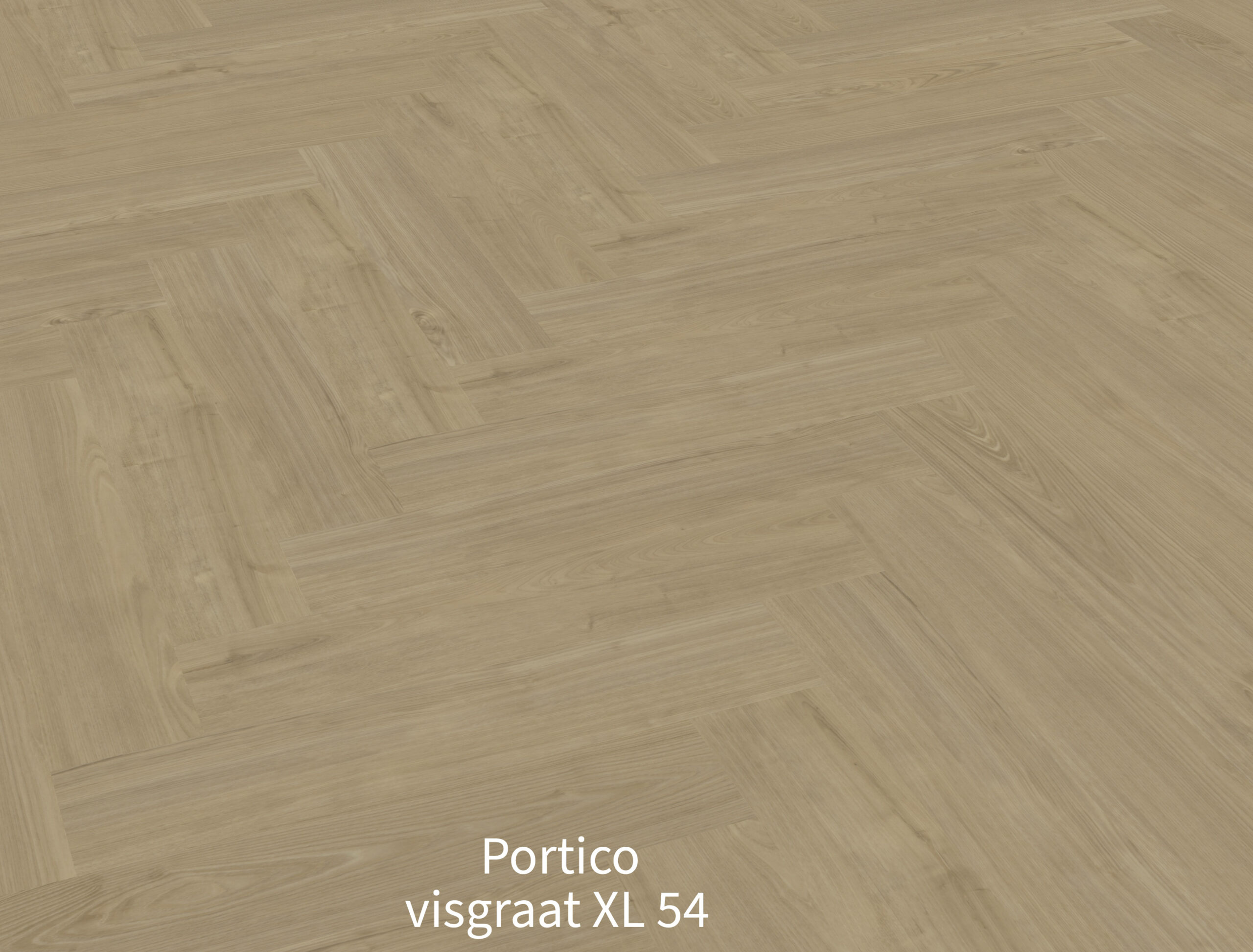 Portico visgraat XL 54