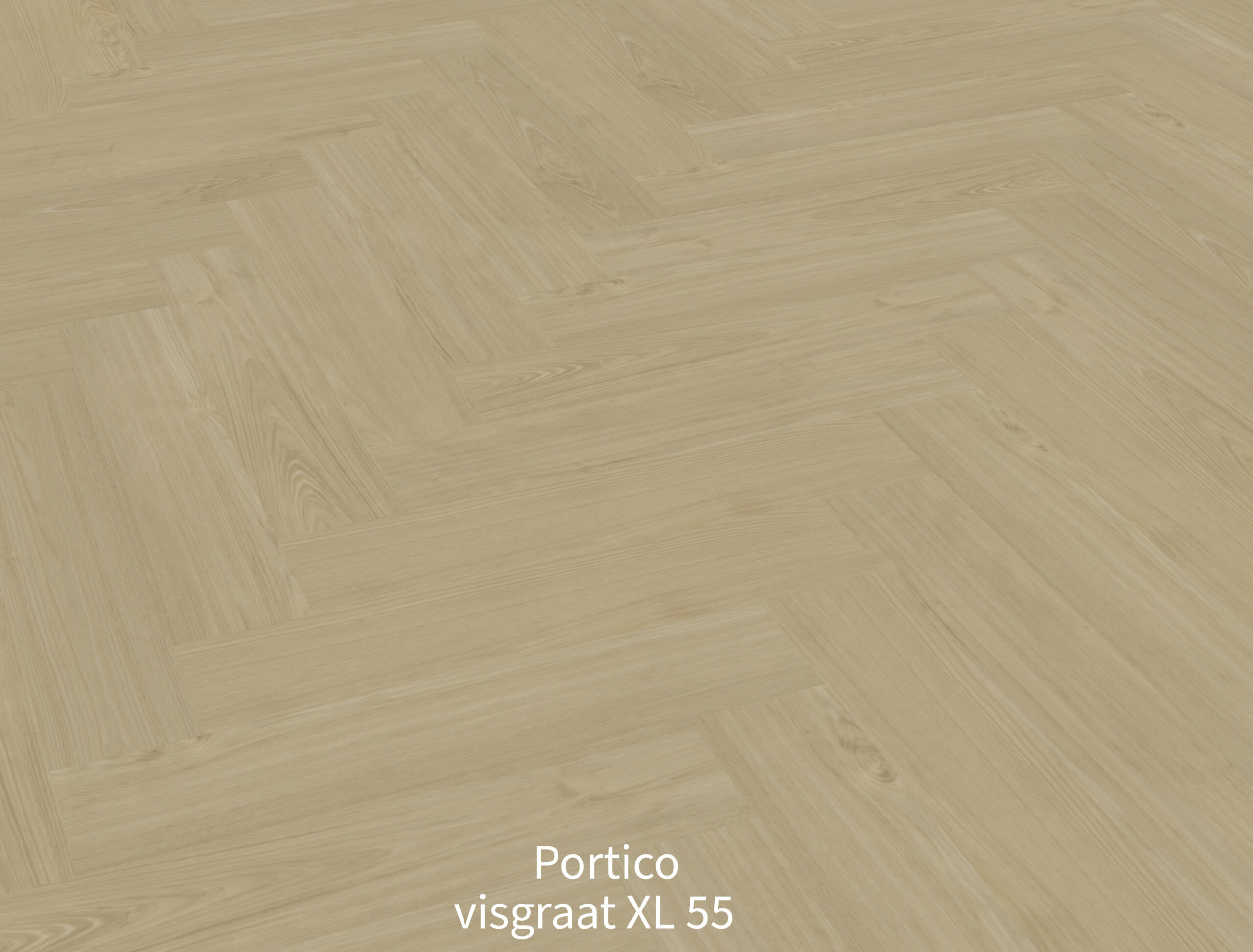 Portico visgraat XL 55